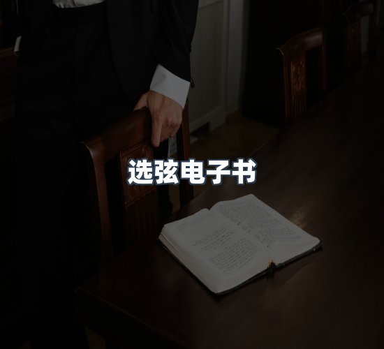 关于选弦电子书